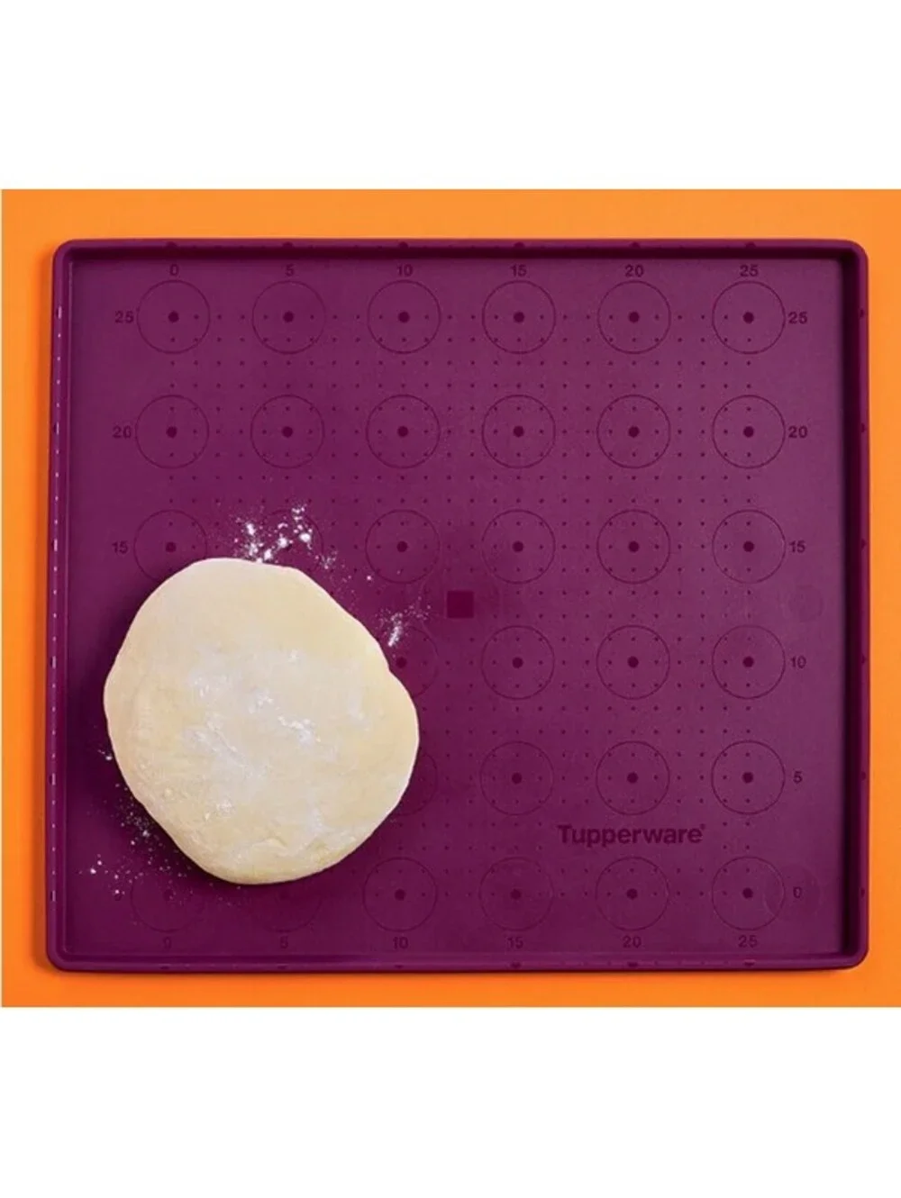 Tupperware Silicone Baking Sheet with Rim and Circle Grid Cookies Biscuits